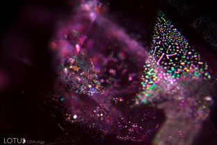 A thin film inclusion parallel to the basal pinacoid in a heated Thai/Cambodian ruby.