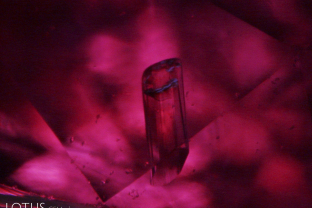 A cordierite (Iolite) inclusion is a rare and welcome guest in this ruby from Greenland. 1.16mm long.