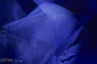 This lovely moiré pattern in a Burmese sapphire is a spectacular example of the photomicrographic art from the master, John Koivula.