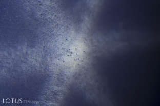 Gas bubbles and short needles in a Linde synthetic star sapphire.