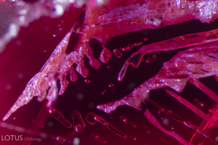 Two-phase primary flux-filled cavities in a Douros synthetic flux ruby.