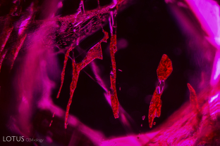 Primary flux in Ramaura stones often displays a distinctive yellow-orange color. Note the obvious “crazed” appearance and zoned structure of this large flux inclusion.