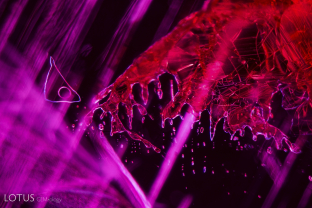 Two-phase primary flux-filled cavities in a Douros synthetic flux ruby.