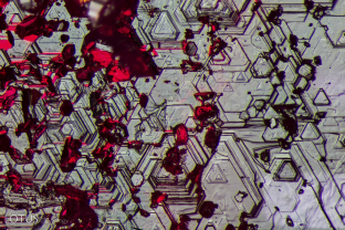 Growth marks on the basal pinacoid of a Douros synthetic ruby.