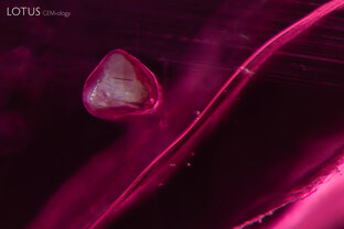 Apatite crystal identified by micro-Raman analysis, found within this Malawi ruby.