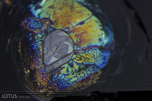 A large flattened negative crystal is surrounded by an iridescent fingerprint in the basal plane of this unheated Lava Plains sapphire.